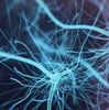 Evolution of Azure Synapse: Apache Spark 3.0, GPU Acceleration, Delta Lake, Dataverse Support