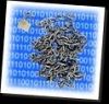Encrypting the Internet